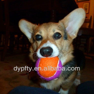 Rubber Ball With Teeth Dog Toy